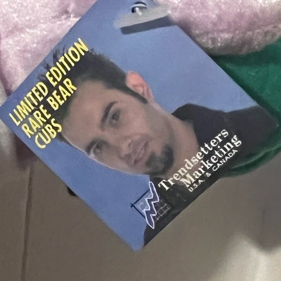 2000 Zeeks Nsync "Chris" Pop Star Boy Band Collectible Plush Pink Bear NWT - Picture 7 of 11